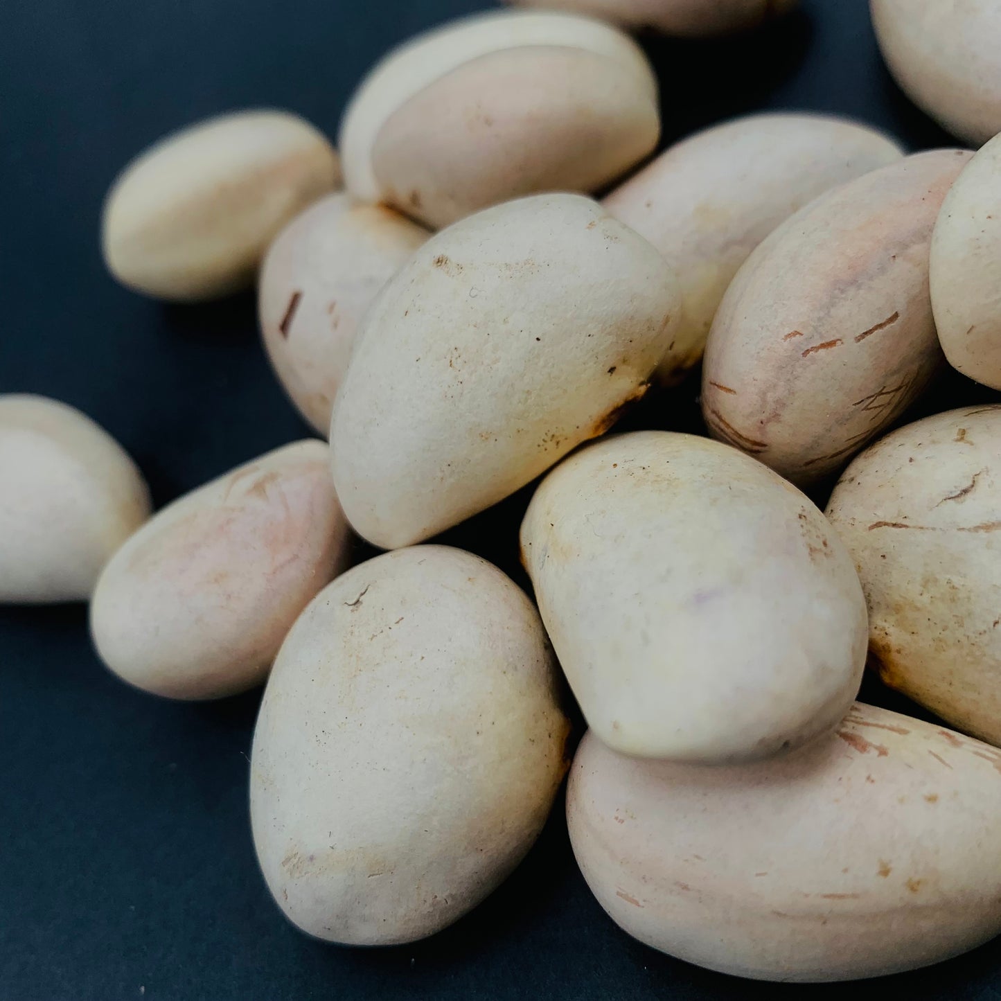 Jackfruit Seeds 100% Organic Rare Sweetest Jack Fruit Seed From Ceylon
