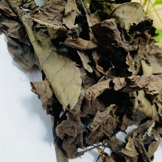 Organic Bael Bengal Quince Leaves, Dry Beal Leaves of Aegle Marmelos