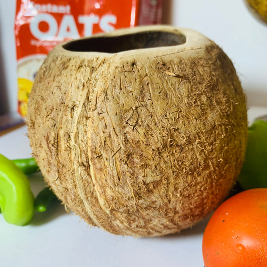 coconut shell bowls