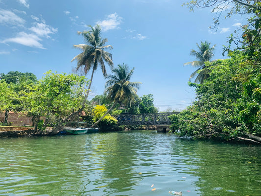 Amazing Madu River view in Srilanka