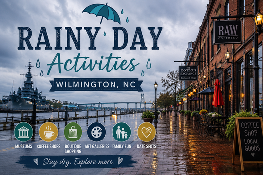 Rainy Day Activities Wilmington- toyora stories 