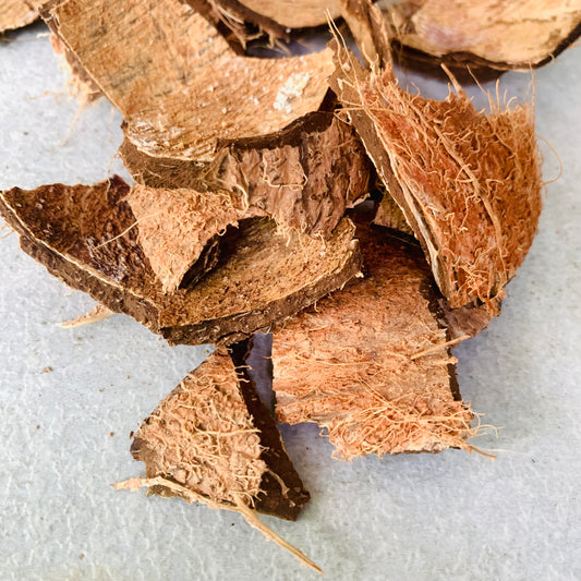COCONUT SHELL CHIPS ECO FRIENDLY 100% NATURAL PURE PRODUCT CEYLON 1kg