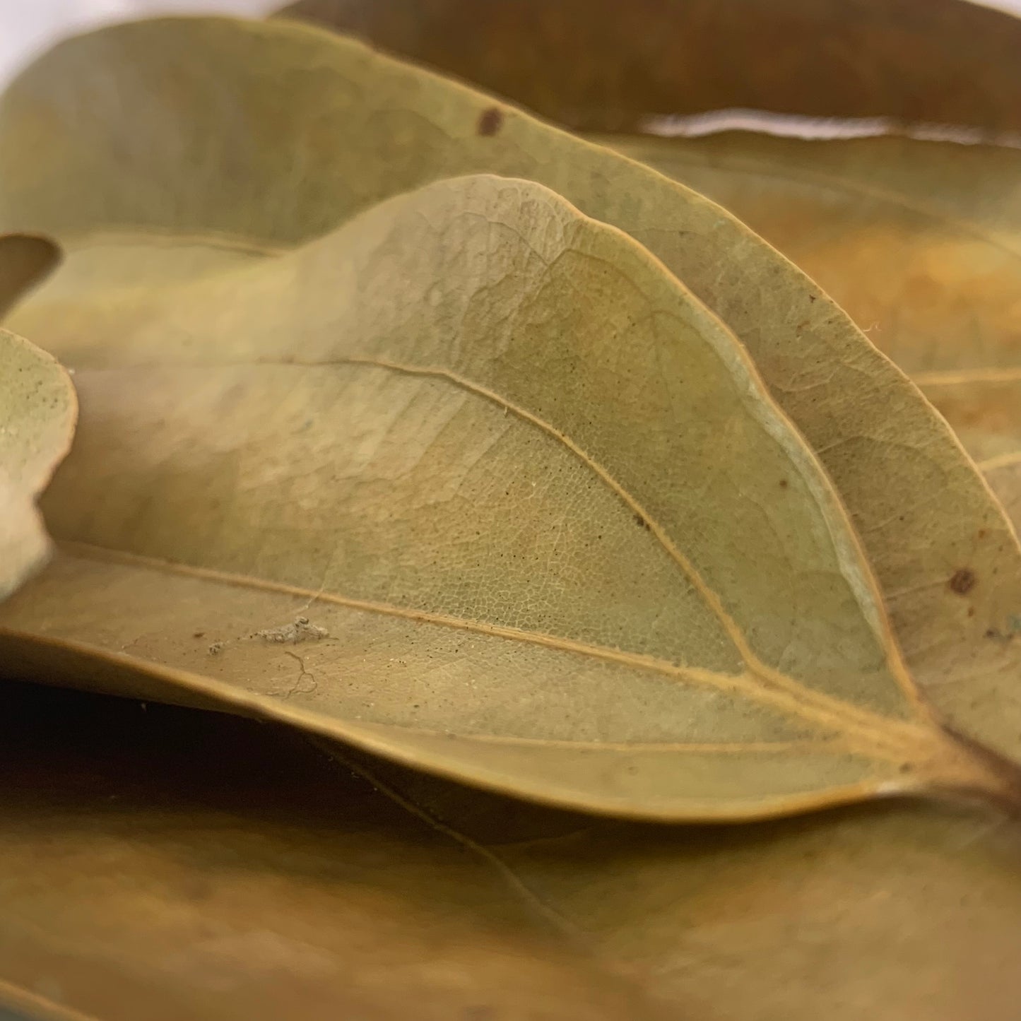 Dry Cinnamon Leaves 100g Pack