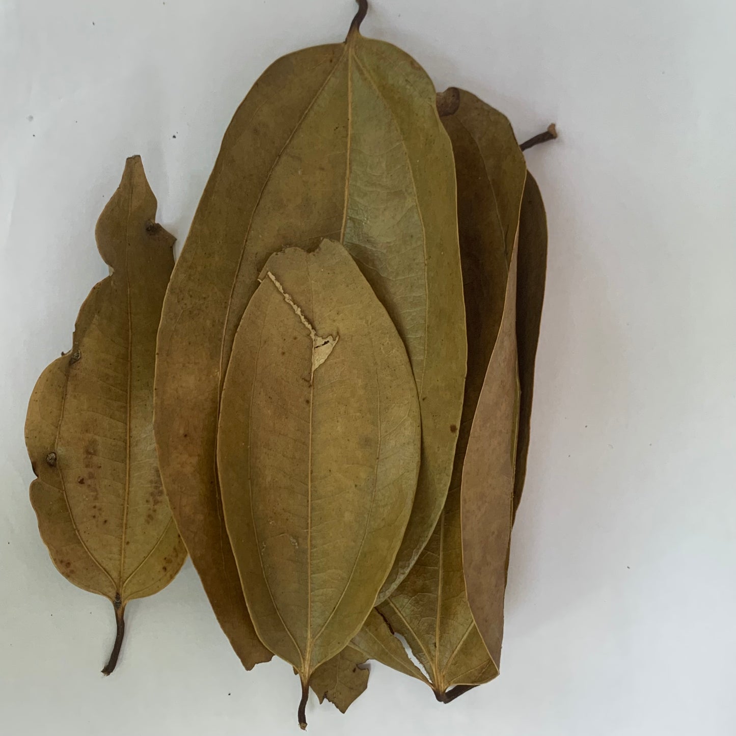 Dry Cinnamon Leaves 100g Pack