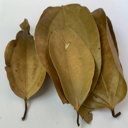 Sun Dried Cinnamon Leaves 100% Pure and Organic