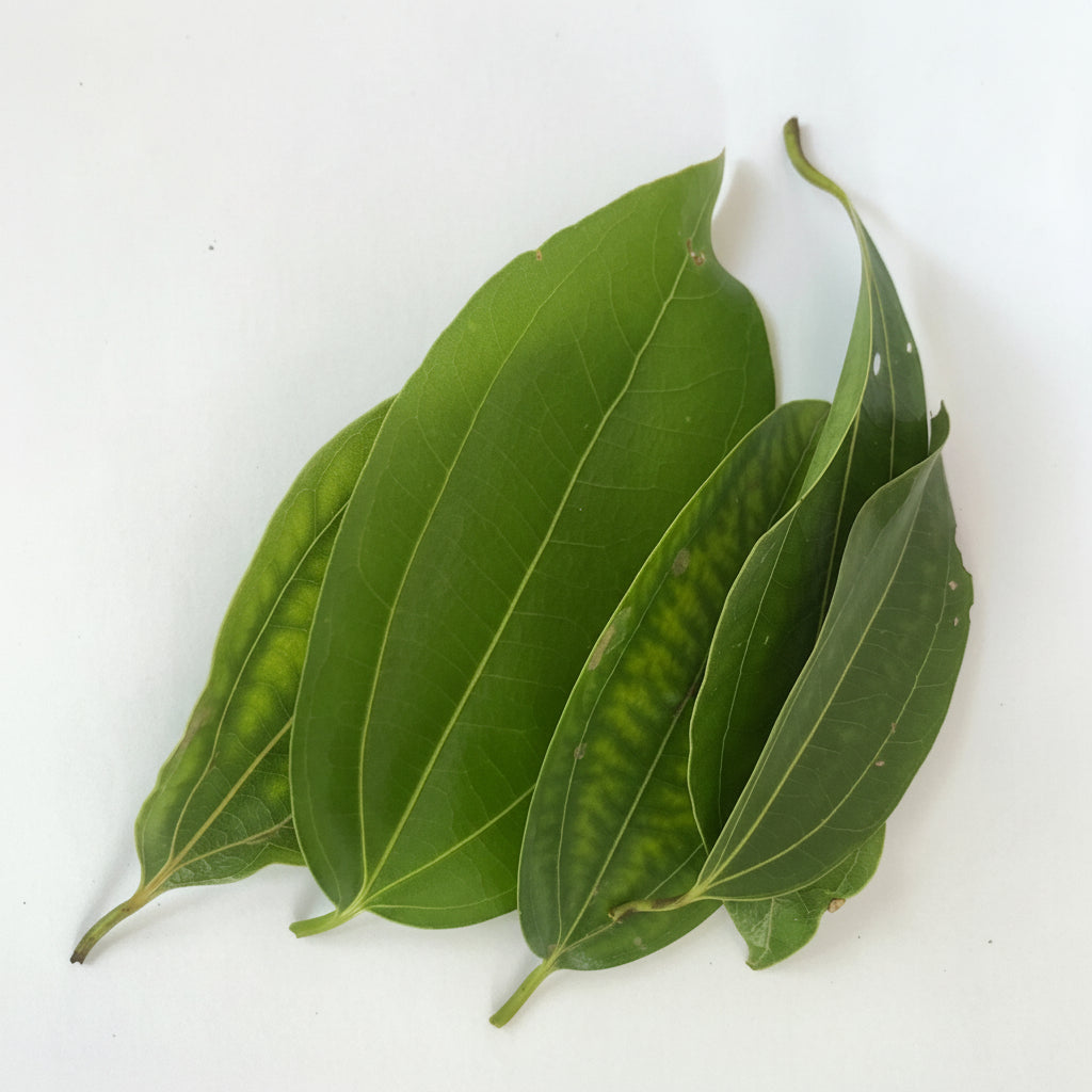 cinnamon leaves uses	