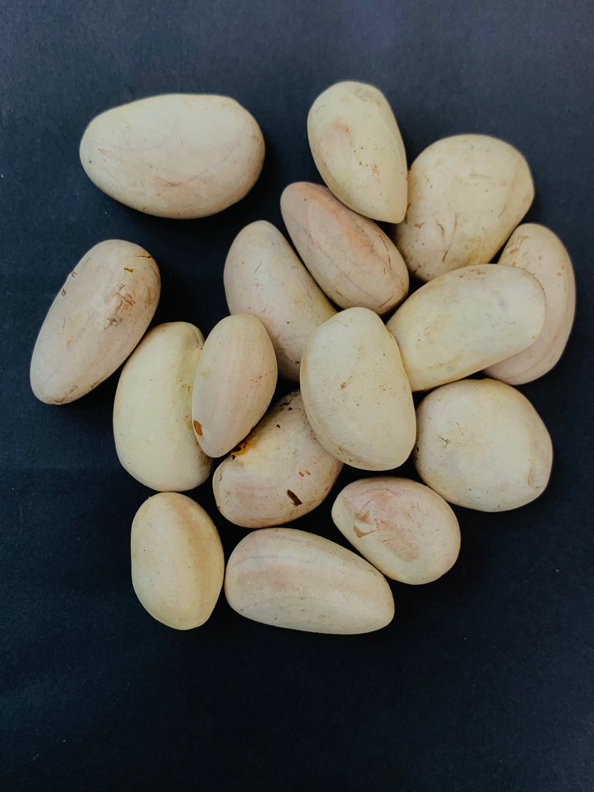 Jackfruit Seeds 100% Organic Rare Sweetest Jack Fruit Seed From Ceylon