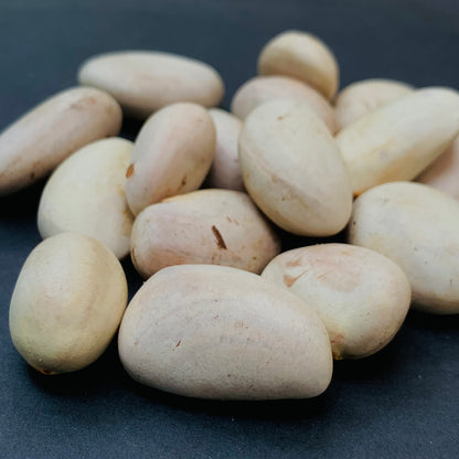 Jackfruit Seeds 100% Organic Rare Sweetest Jack Fruit Seed From Ceylon