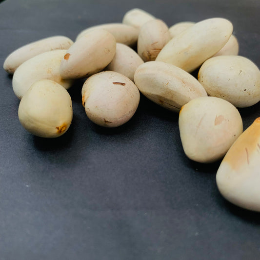Jackfruit Seeds 100% Organic Rare Sweetest Jack Fruit Seed From Ceylon