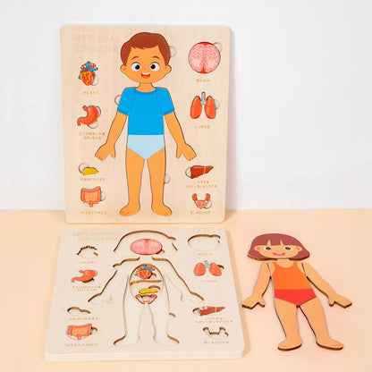 Wooden anatomy puzzle of a boy with labeled body parts on a beige background