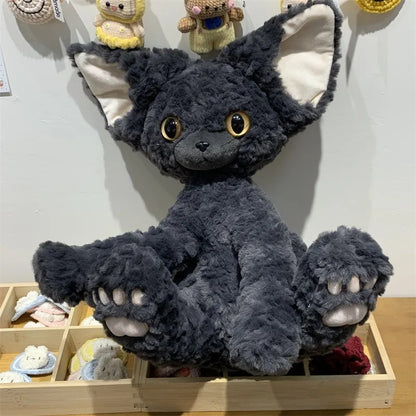 curly devon rex kitten with large paws in a wooden display case.