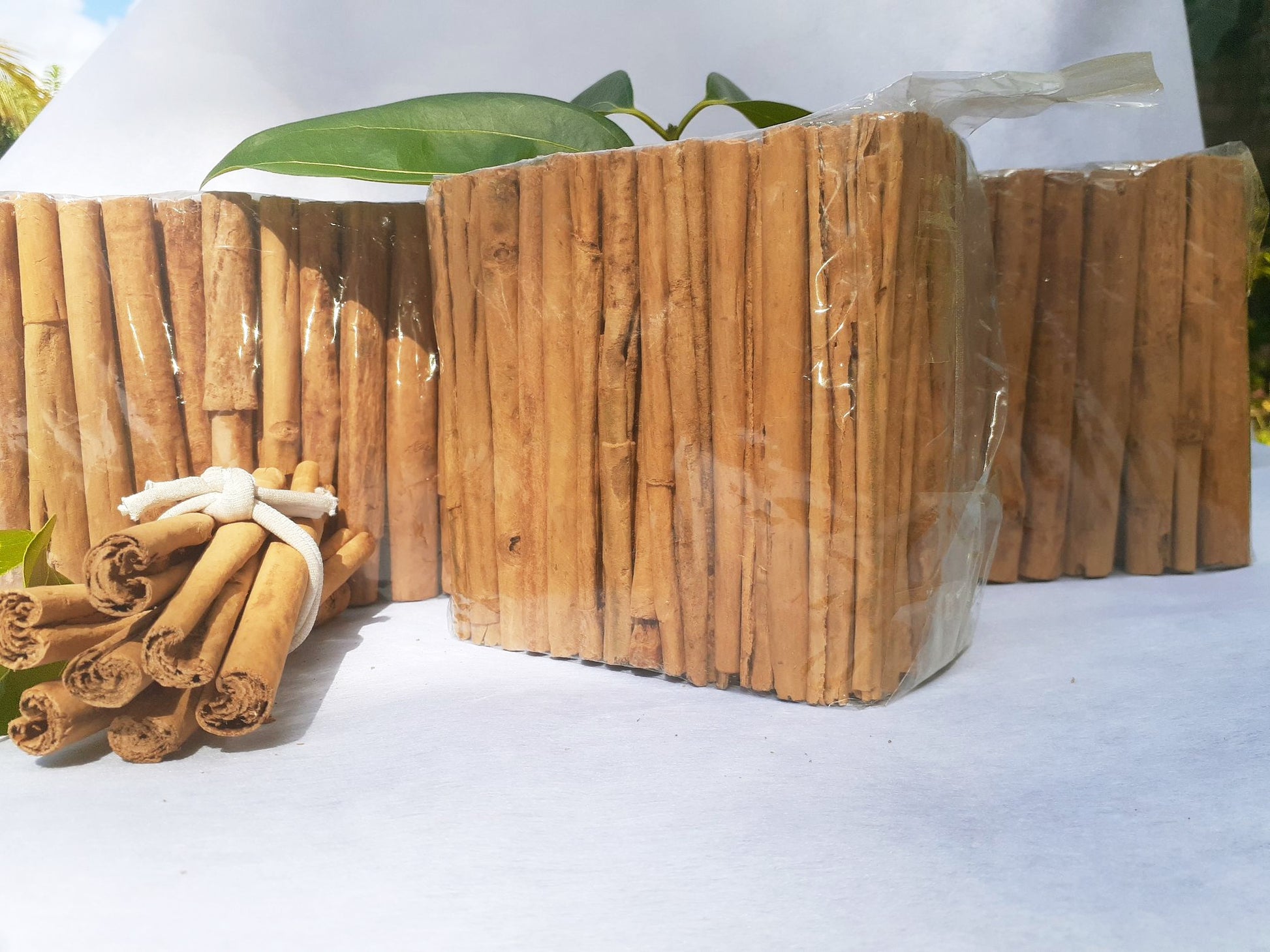 100% pure Ceylon alba cinnamon sticks Canela Sri lanka