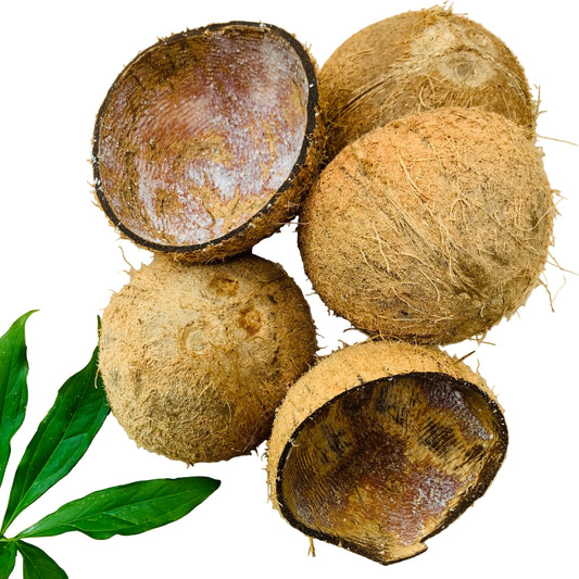 100% Natural Eco Ice Cream Serving Bowl