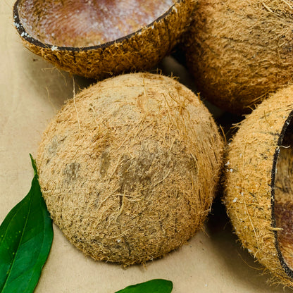 100% Natural Eco Ice Cream Serving Bowl