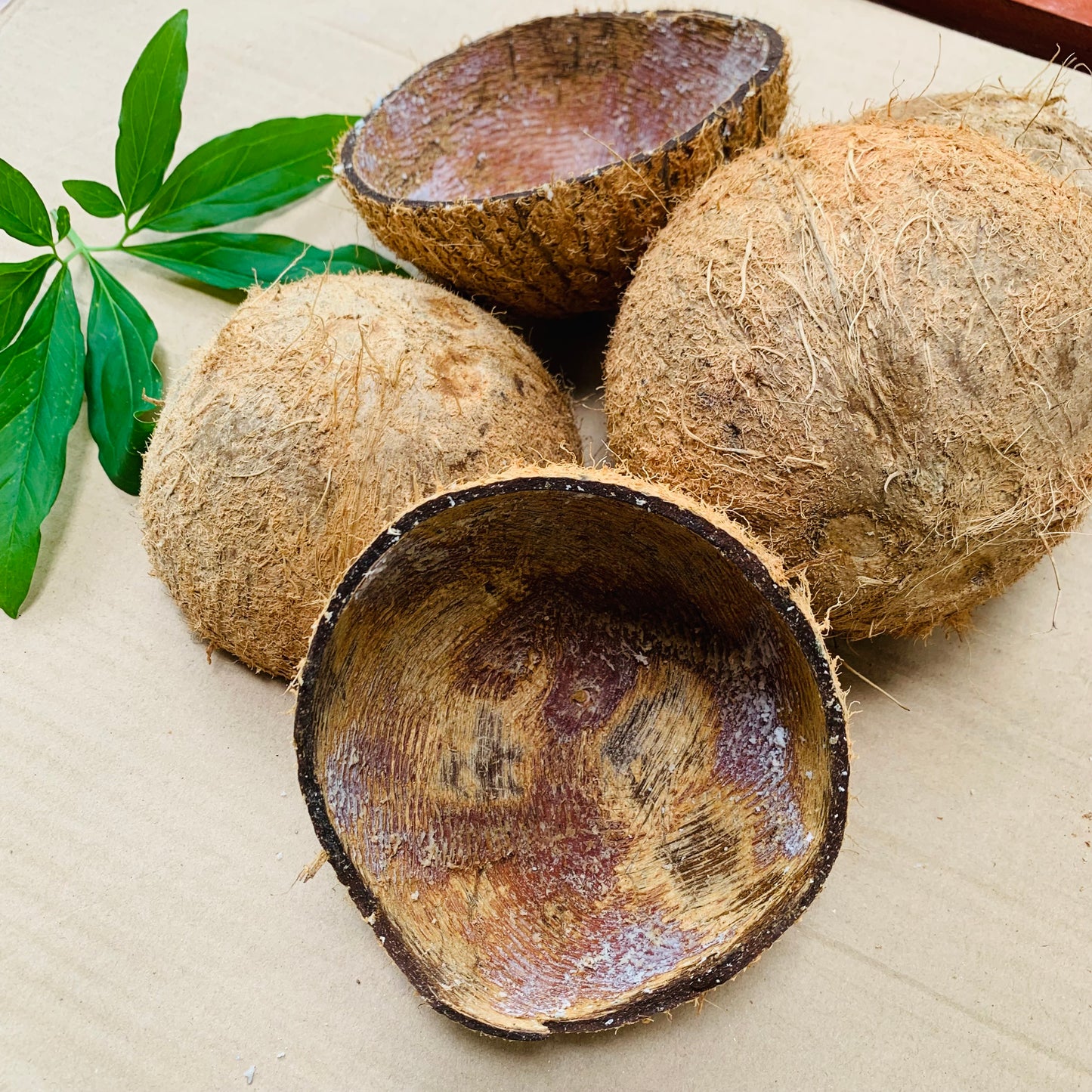 100% Natural Eco Ice Cream Serving Bowl