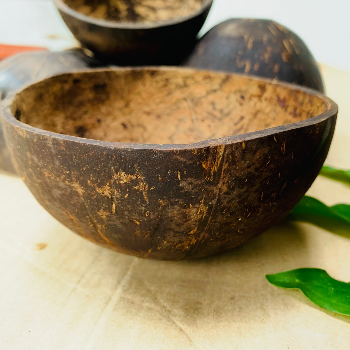 Coconut Shell Bowl Sustainable living ideas