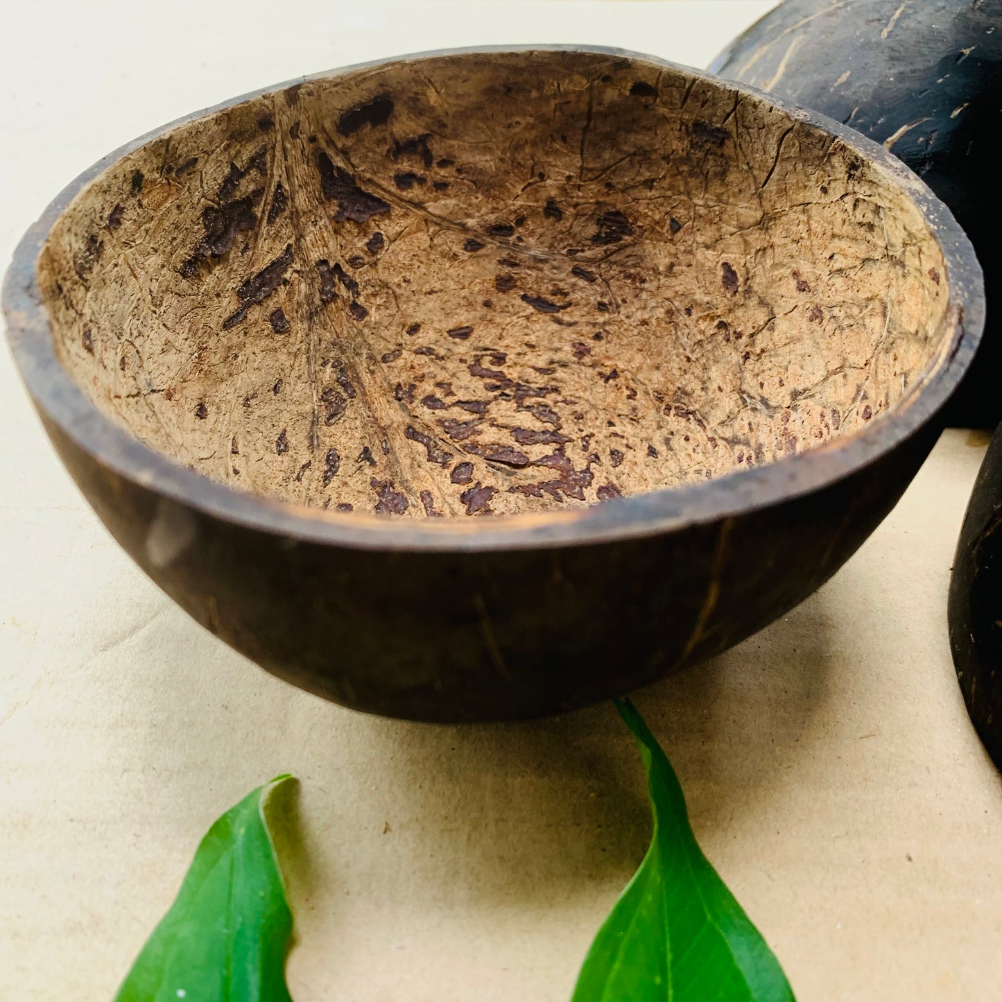 Coconut Shell Bowl Sustainable living ideas