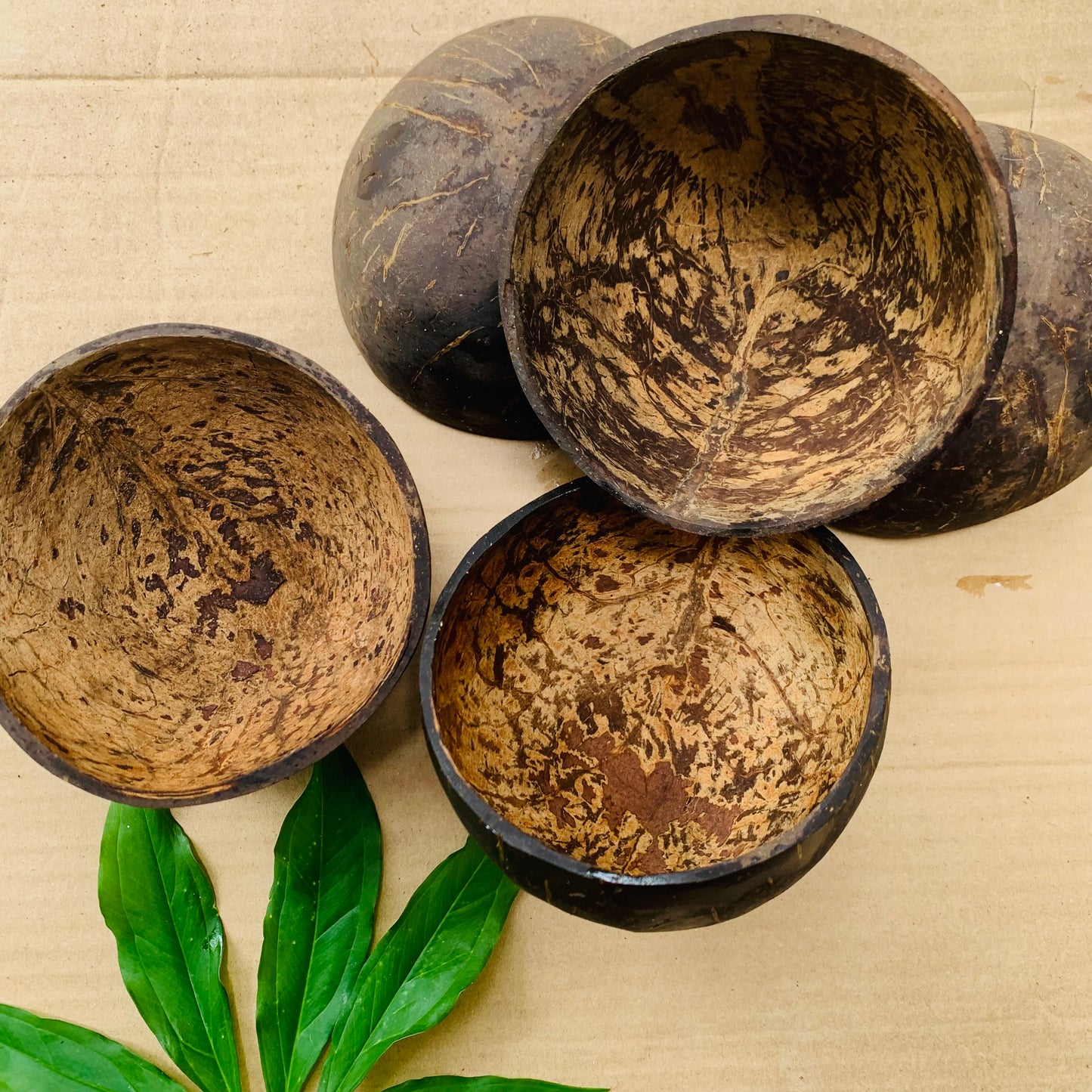 Coconut Shell Bowl Sustainable living ideas