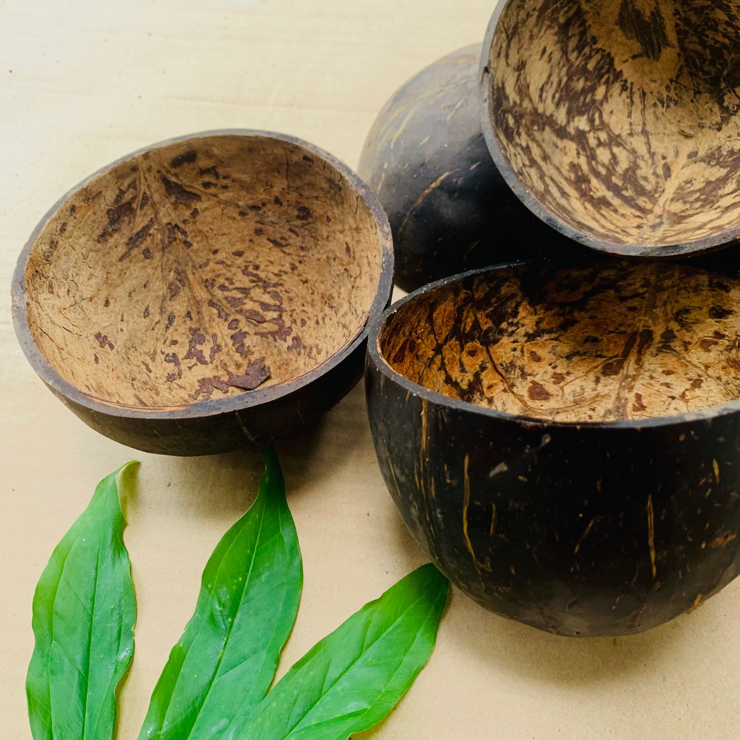 Coconut Shell Bowl Sustainable living ideas