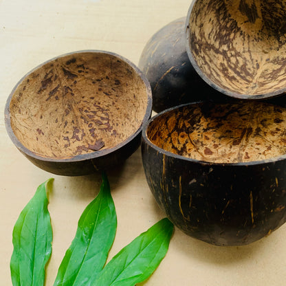 Coconut Shell Bowl Sustainable living ideas