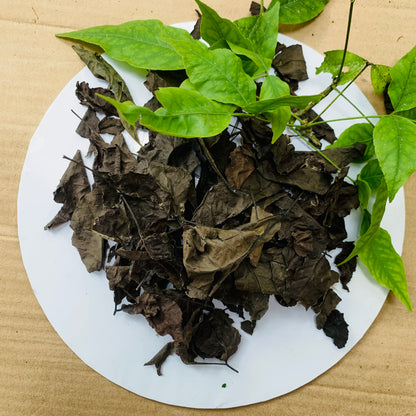 Organic Bael Bengal Quince Leaves, Dry Beal Leaves of Aegle Marmelos
