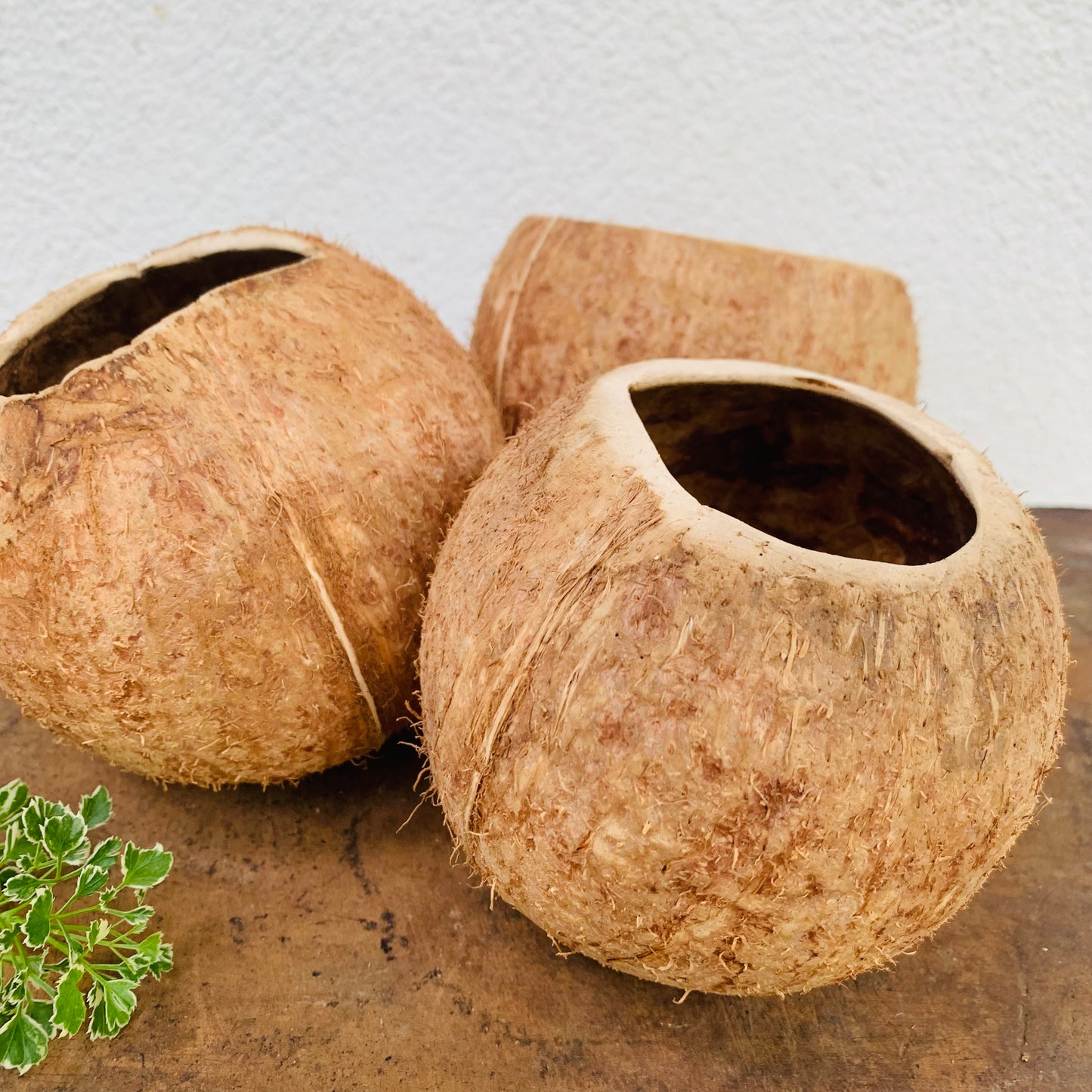 coconut shell smoothie bowl