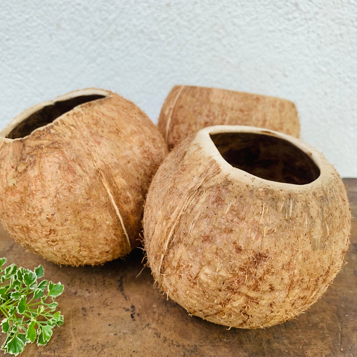Natural coconut shell bowls for Multi-purpose