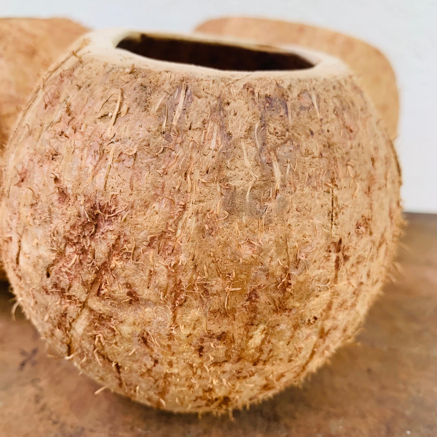 Deep Coconut Shell Full Bowl