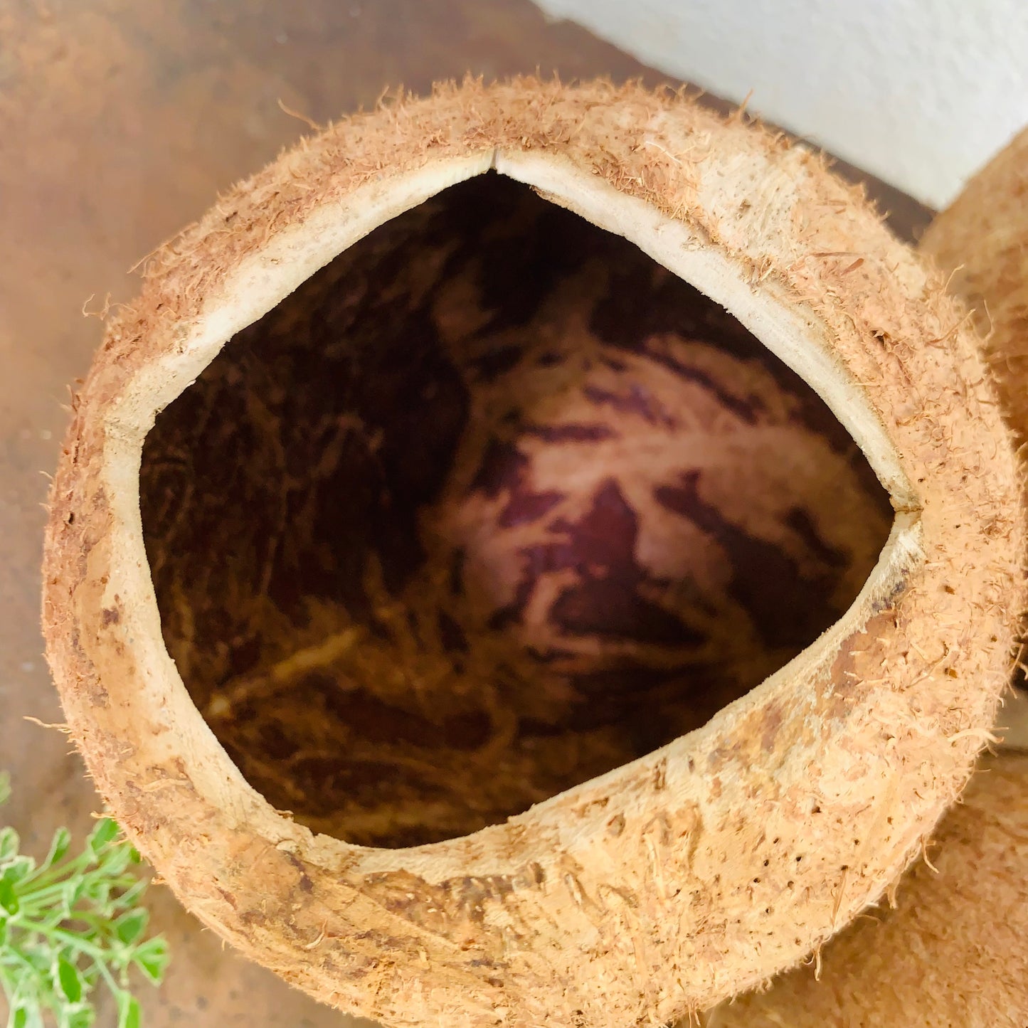 Natural coconut shell bowls for Multi-purpose