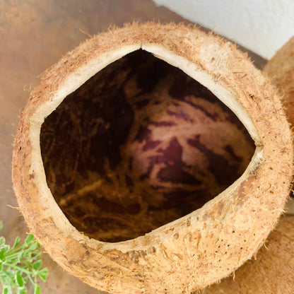 Natural coconut shell bowls for Multi-purpose