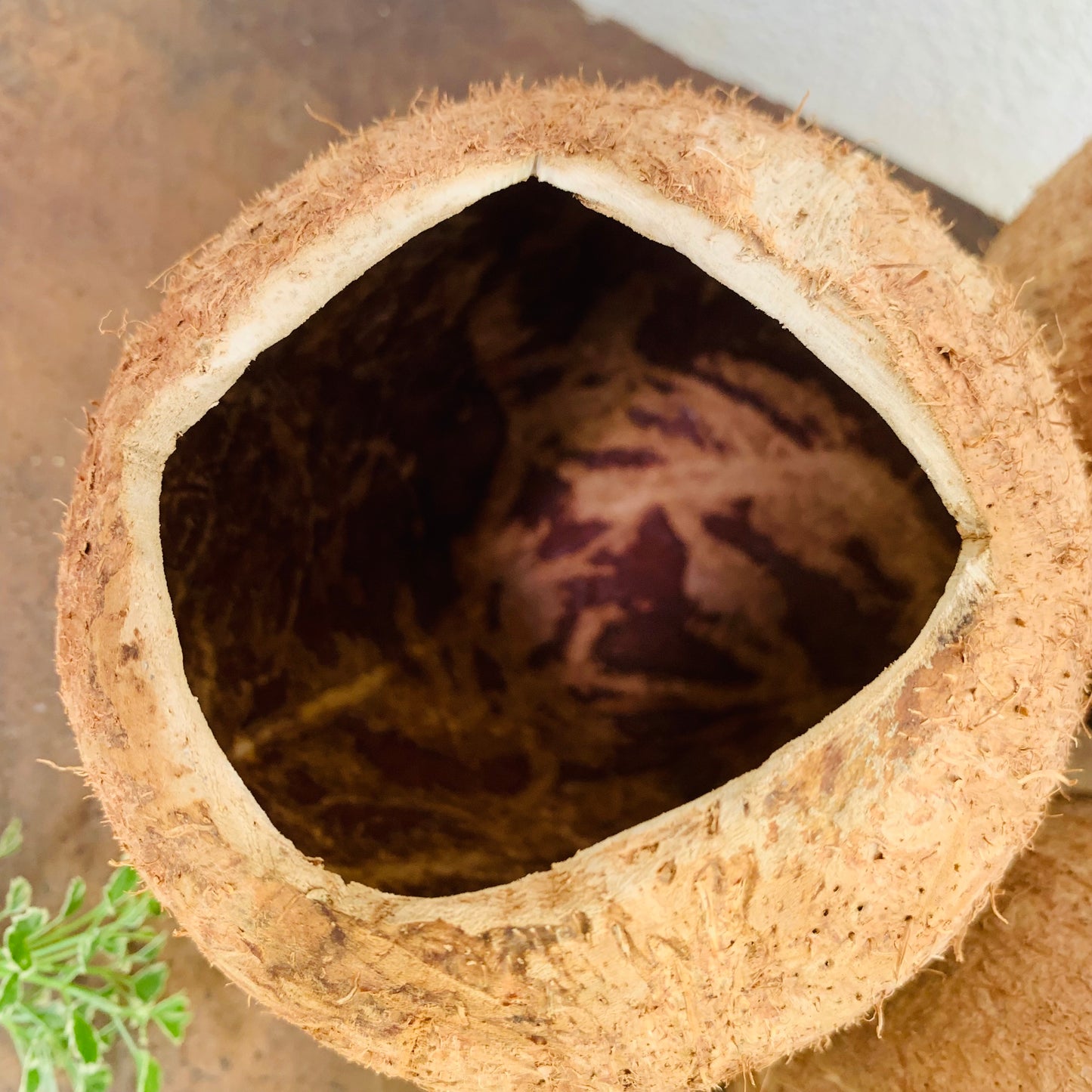 Deep Coconut Shell Full Bowl