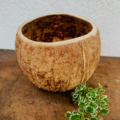 coconut shell smoothie bowl