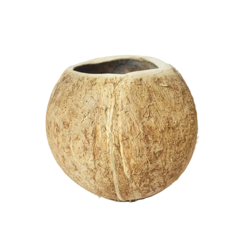 coconut shell craft