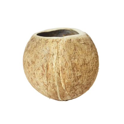 coconut shell craft