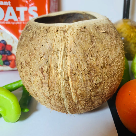 coconut shell craft