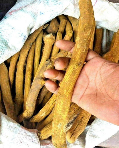 The root bark is frequently applied on wounds and ulcers as a dressing. To treat snakebites, a paste made from vanivelstem or rot and turmeric is used.